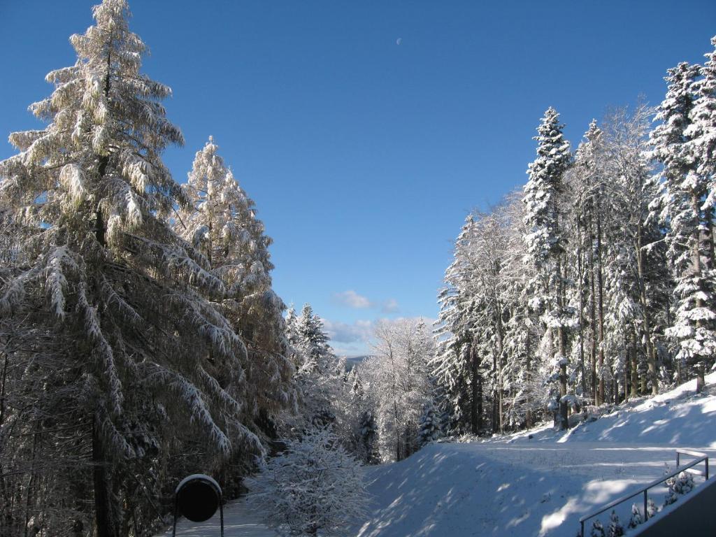 Hotel Zarja Hočko Pohorje Exterior foto